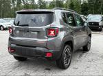 2016 Jeep Renegade Pic 2468_V2025081215311000044
