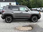 2016 Jeep Renegade Pic 2468_V2025081215311000045