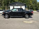 2009 Ford F-150 Pic 2468_V2025090912310500002