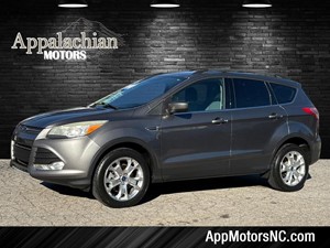 2013 Ford Escape SE for sale by dealer