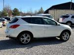 2010 Nissan Murano Pic 2468_V2026010615305900065