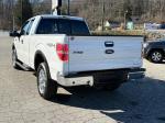 2011 Ford F-150 Pic 2468_V2026012015305000043