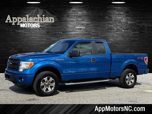 2014 Ford F-150 STX for sale by dealer