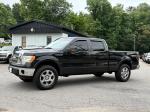 2010 Ford F-150 Pic 2468_V202606021531220002