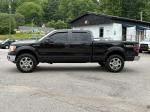 2010 Ford F-150 Pic 2468_V2026060215312200022