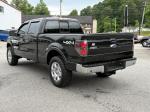 2010 Ford F-150 Pic 2468_V2026060215312200023