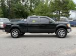 2010 Ford F-150 Pic 2468_V2026060215312200025