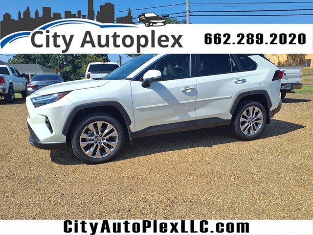 Toyota RAV4 Limited in Kosciusko