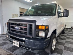 Picture of a 2013 Ford E150 Cargo Van 3D