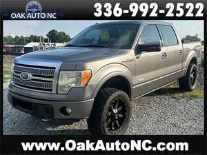 2012 FORD F150 PLATINUM SUPERCREW 4x4 for sale by dealer