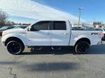 2011 Ford F150 Pic 2556_V2026010709314700012