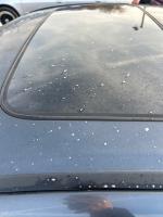 2005 Honda Accord Pic 2556_V20260122033220000117