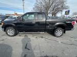 2013 Ford F150 Pic 2556_V2026013003333200032