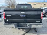 2013 Ford F150 Pic 2556_V2026013003333200034