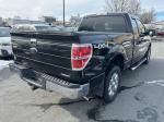 2013 Ford F150 Pic 2556_V2026013003333200035
