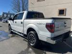 2013 Ford F150 Pic 2556_V2026020803332500007