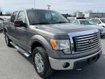 2010 Ford F150 Pic 2556_V2026021717321200107