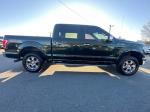 2015 Ford F150 Pic 2556_V2026031303314800006