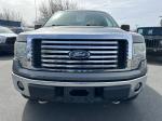 2010 Ford F150 Pic 2556_V2026040703315300008