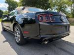 2014 Ford Mustang Pic 2556_V2026060303313300013