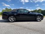 2014 Ford Mustang Pic 2556_V2026060303313300016