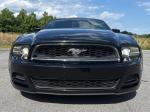 2014 Ford Mustang Pic 2556_V2026060303313300018
