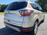 2017 Ford Escape Pic 2556_V2026060503314200015