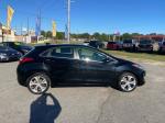 2013 Hyundai Elantra Gt Pic 2564_V2024101203312600026