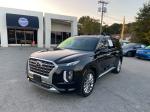 2020 Hyundai Palisade Pic 2564_V202410160333050004