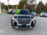 2020 Hyundai Palisade Pic 2564_V2024101603330500048