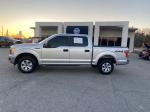 2019 Ford F150 Pic 2564_V2024120303322200012