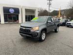 2021 Chevrolet Colorado Pic 2564_V202502050332100003