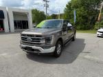 2021 Ford F150 Pic 2564_V202504170331390011