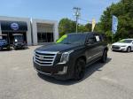 2018 Cadillac Escalade Pic 2564_V202504240332390003