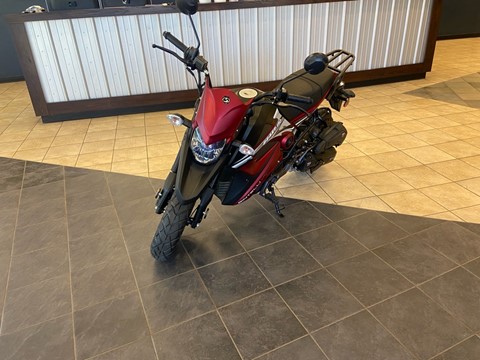 2024 YNGF BINTELLI BEAST 150cc