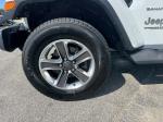 2020 Jeep Wrangler Unlimi Pic 2564_V20250717033233000020