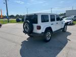 2020 Jeep Wrangler Unlimi Pic 2564_V2025071703323300005