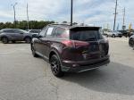 2017 Toyota Rav4 Pic 2564_V2025082803335300003