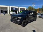 2017 Ford F150 Pic 2564_V202509240332070001