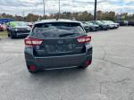 2019 Subaru Crosstrek Pic 2564_V2025102103330600014