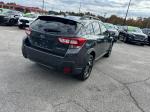 2019 Subaru Crosstrek Pic 2564_V2025102103330600015