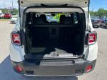 2017 Jeep Renegade Pic 2564_V20260416033245000310