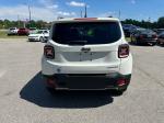 2017 Jeep Renegade Pic 2564_V2026041603324500034