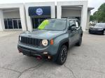 2016 Jeep Renegade Pic 2564_V202604300331160001