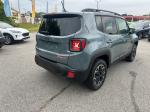 2016 Jeep Renegade Pic 2564_V2026043003311600015