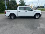 2019 Ford F150 Pic 2564_V2026052603311000006