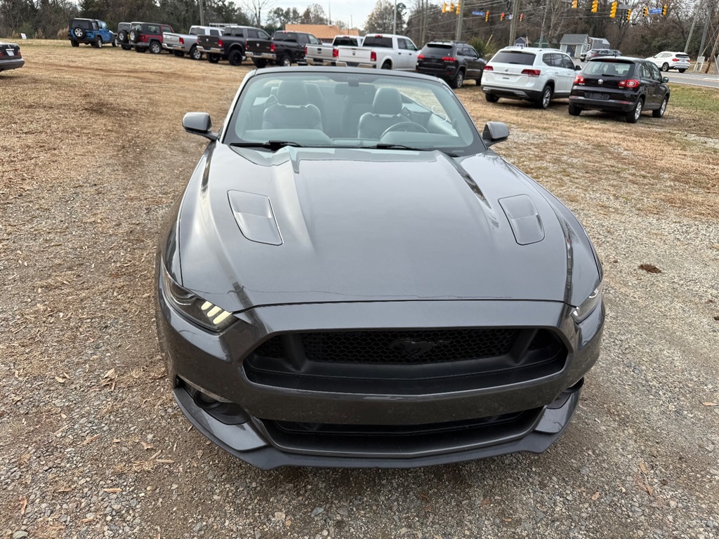 Ford Mustang's photo