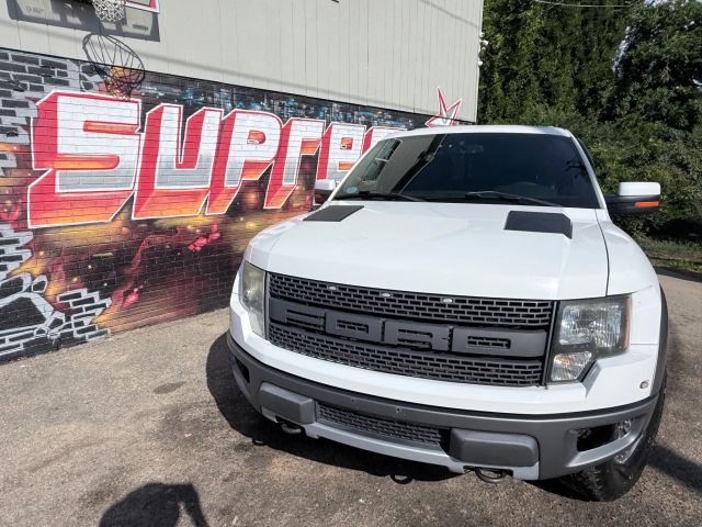 2010 Ford F-150 photo 2