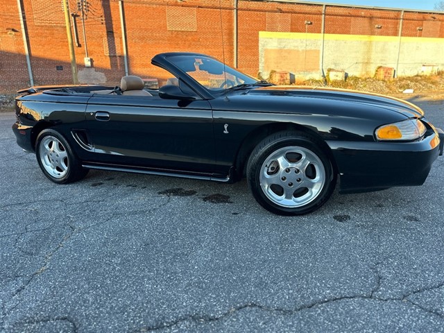 Ford Mustang Cobra Convertible in Hickory