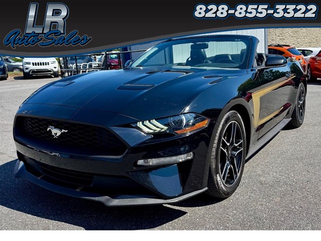 Ford Mustang EcoBoost Premium Convertible in Hickory